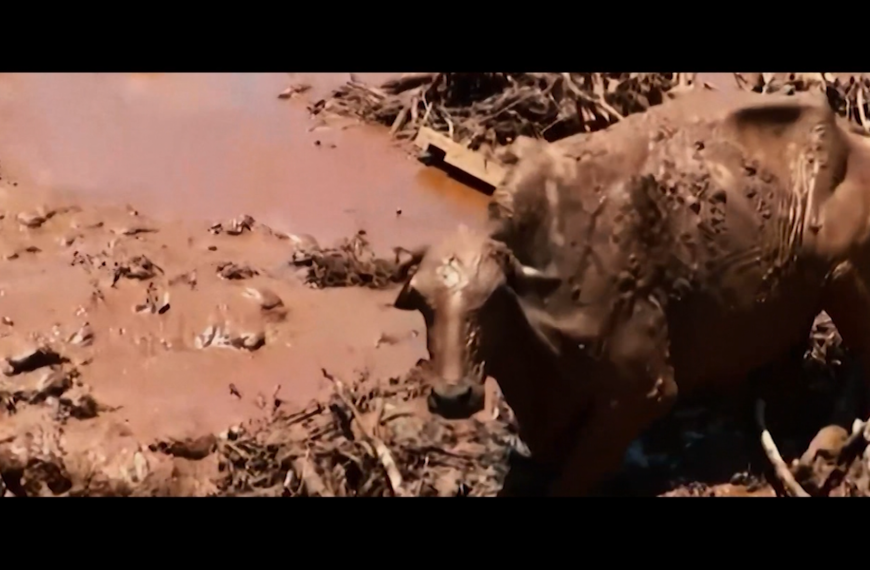 Exposição internacional de filmes aborda tragédia de Brumadinho
